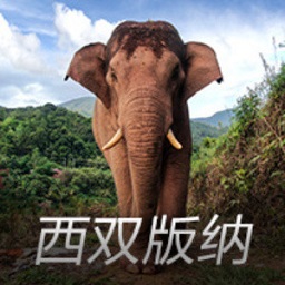 一个NBA替补，在富豪榜上与乔丹詹姆斯齐名